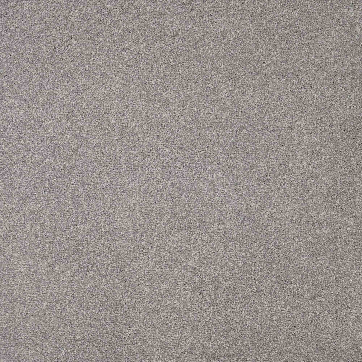 Serenity Carpet