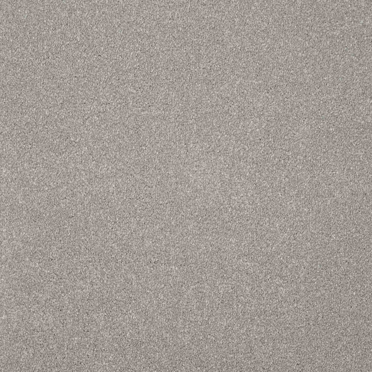 Serenity Carpet