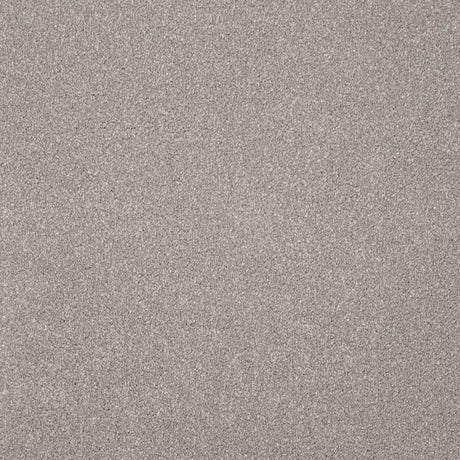 Serenity Carpet