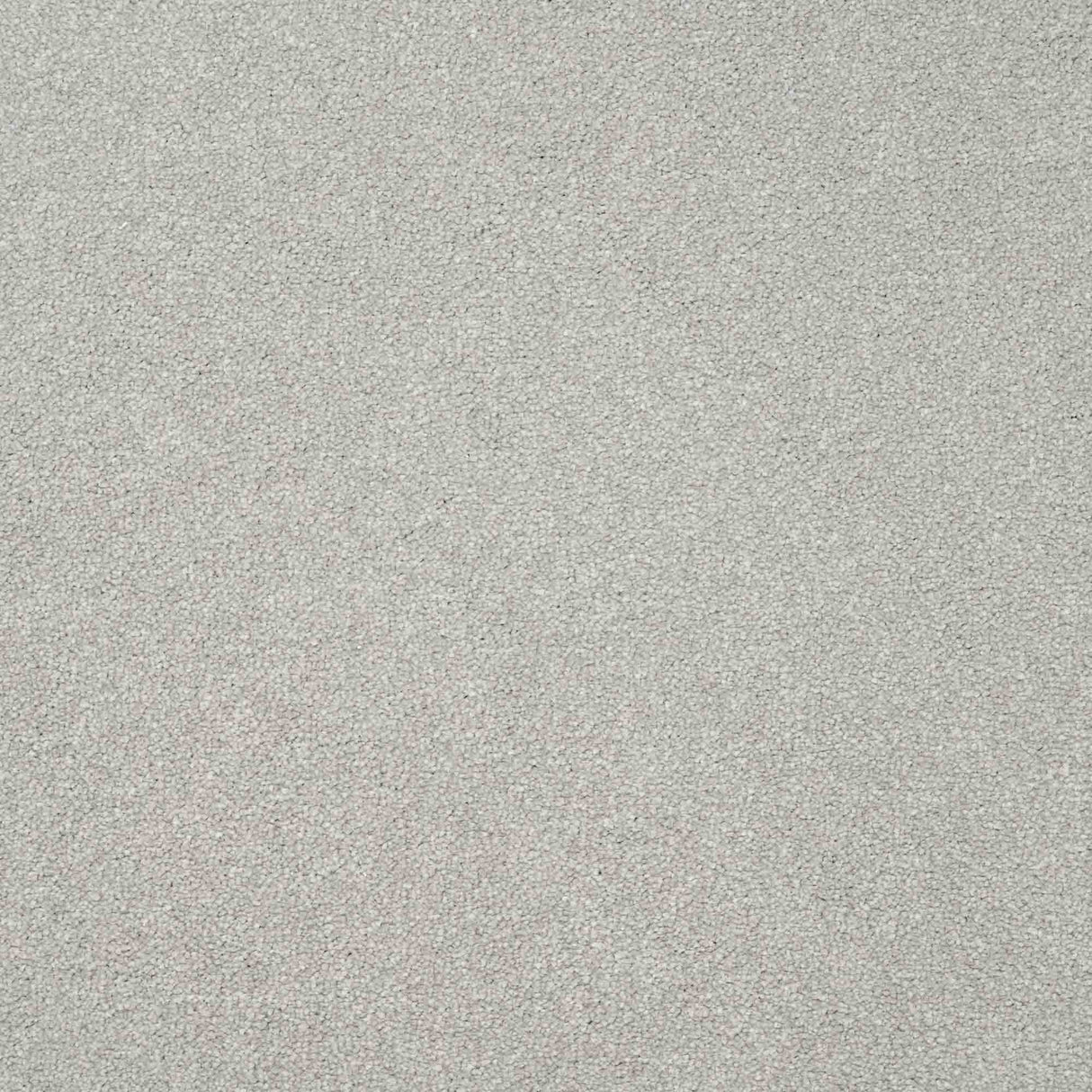 Serenity Carpet
