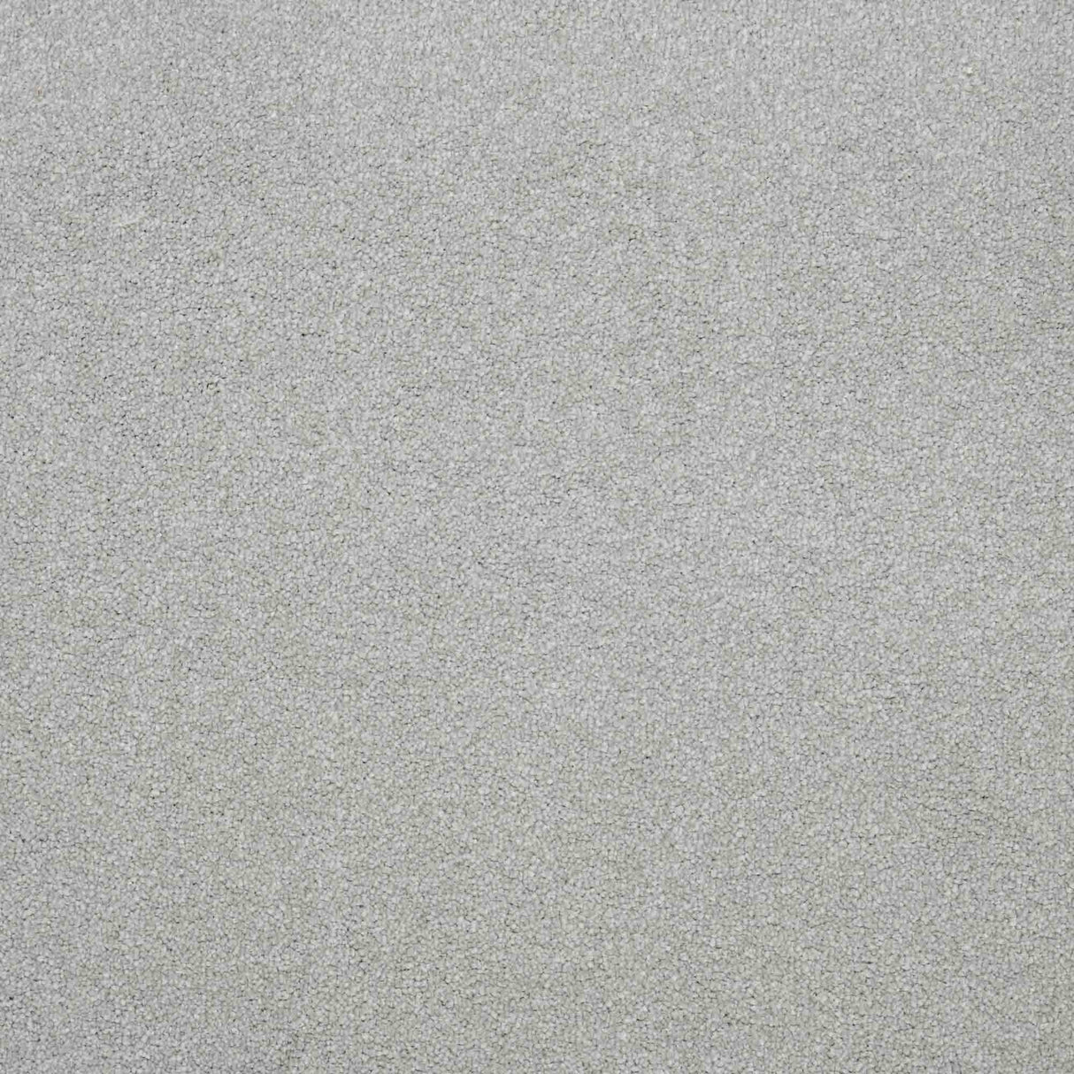 Serenity Carpet