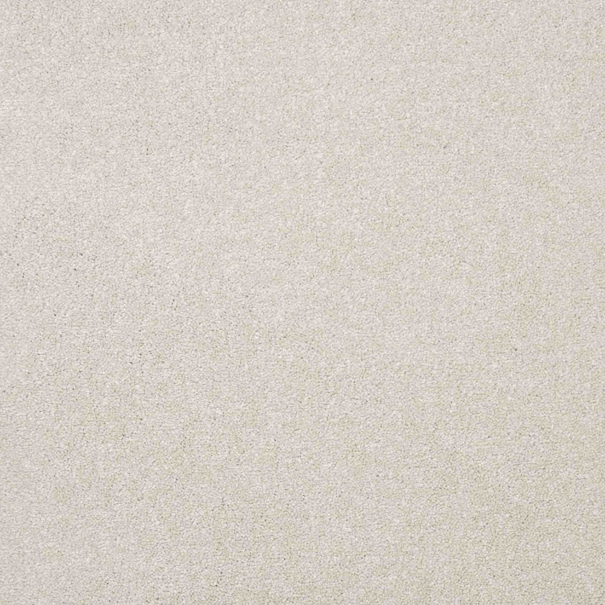 Serenity Carpet