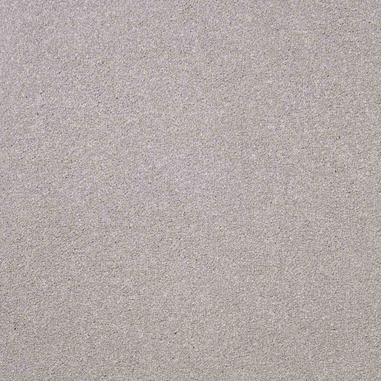 Serenity Carpet