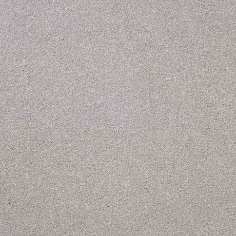 Serenity Carpet