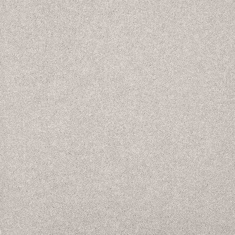 Serenity Carpet