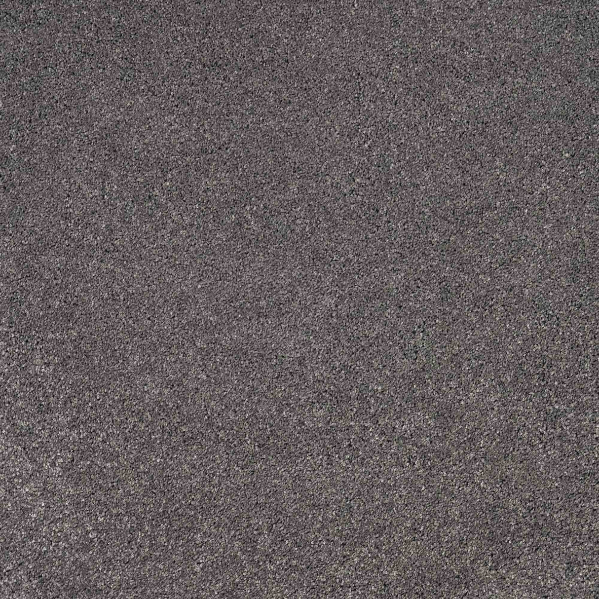 Solitaire Carpet
