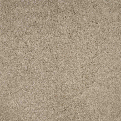 Spirito Carpet