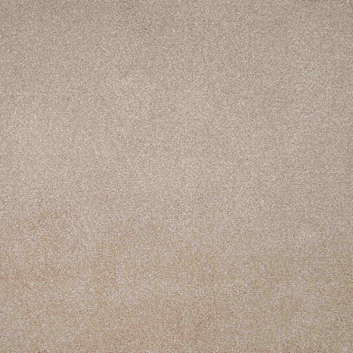 Spirito Carpet