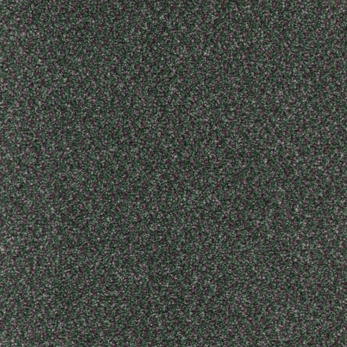 Trident Carpet