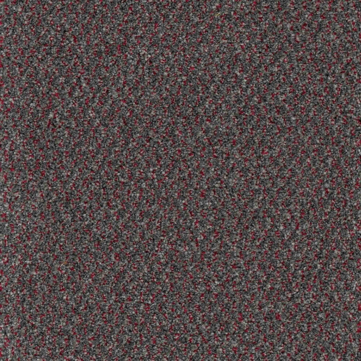 Trident Carpet