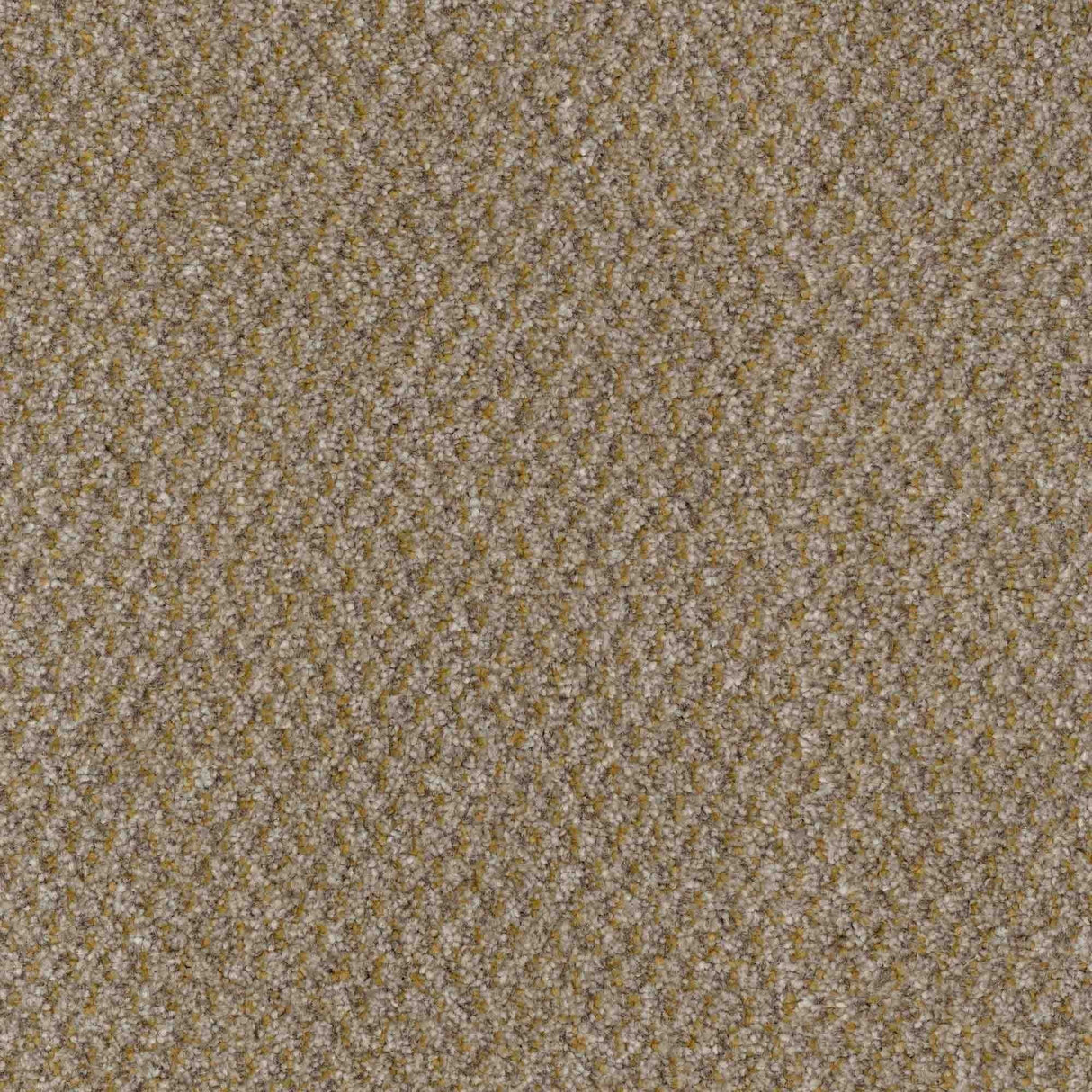 Trident Carpet