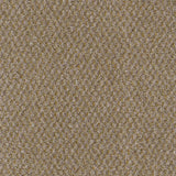 Trident Carpet