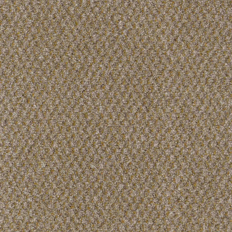 Trident Carpet