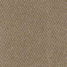 Trident Carpet