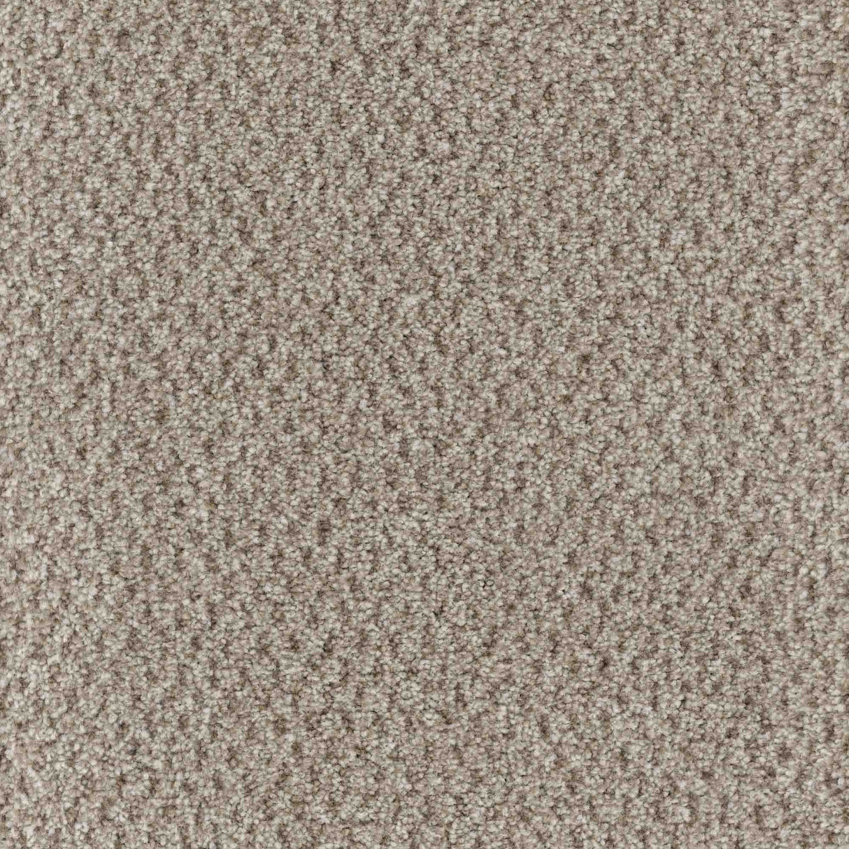 Trident Carpet