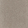 Trident Carpet
