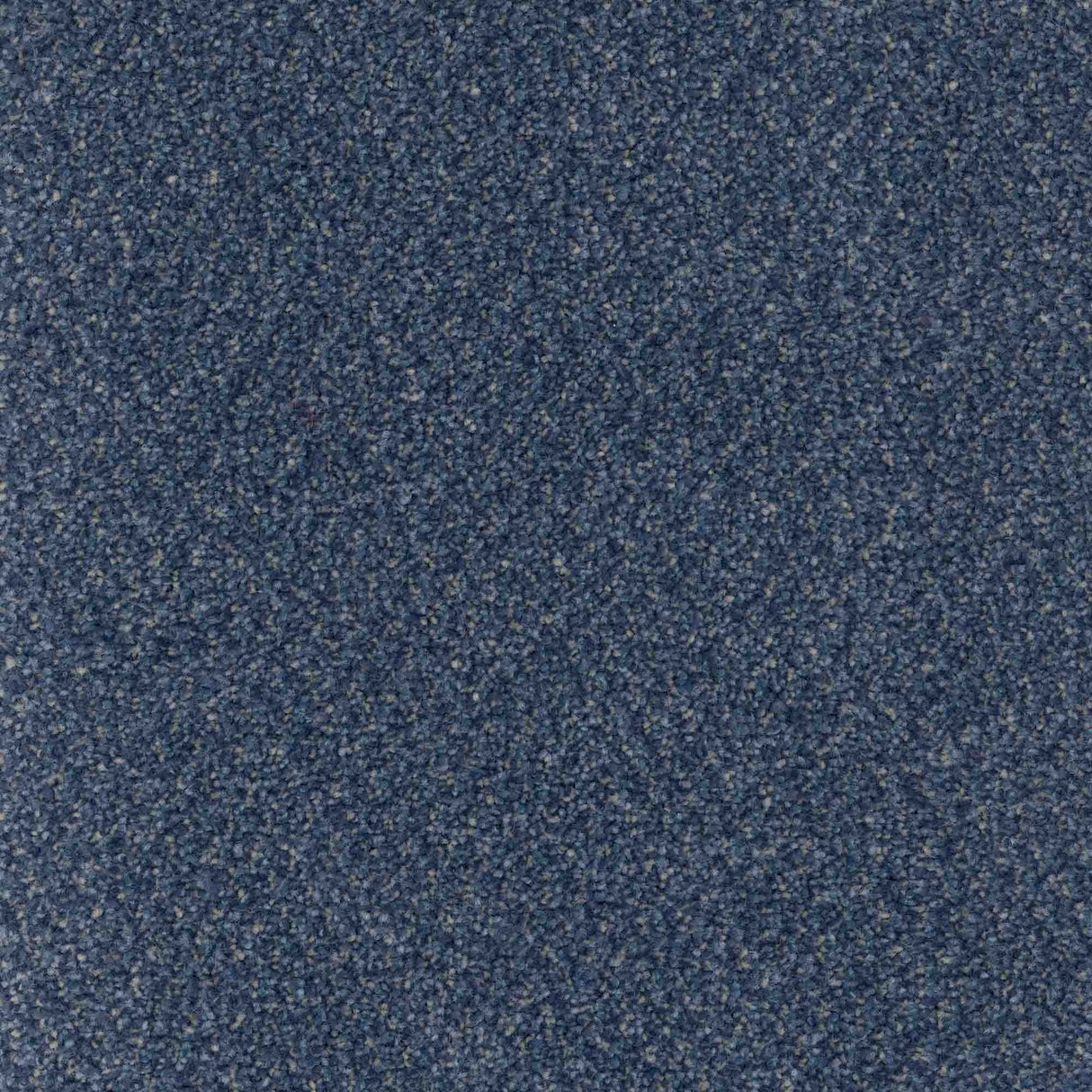Trident Carpet