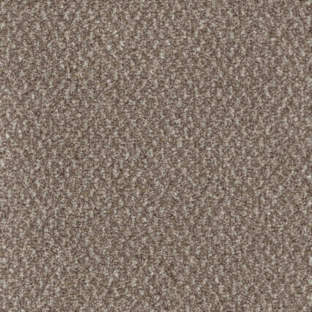 Trident Carpet