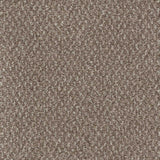 Trident Carpet