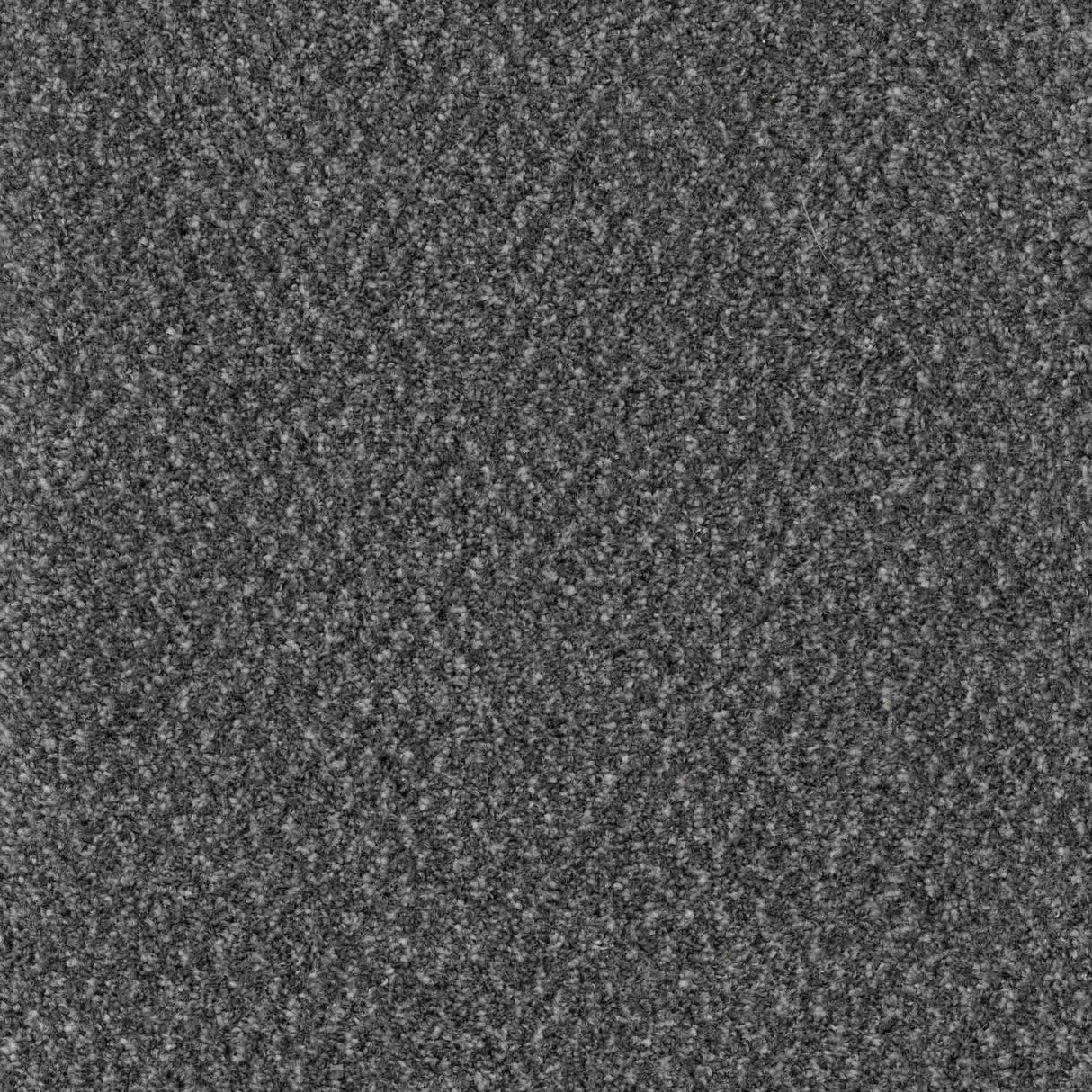 Trident Carpet