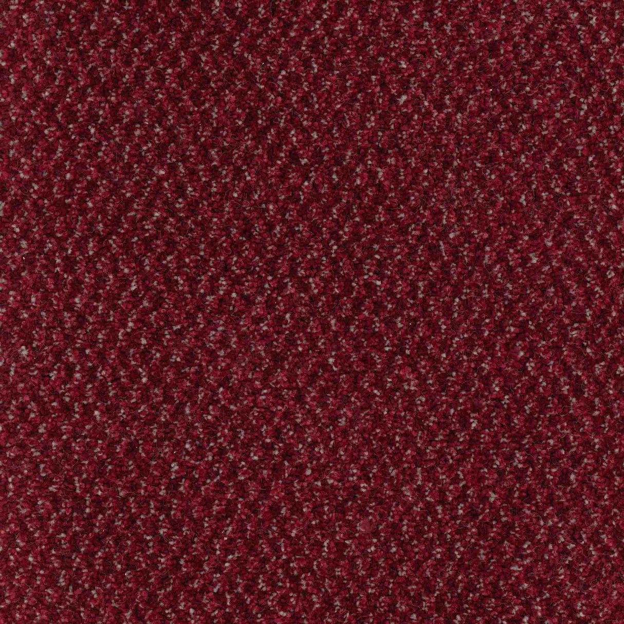 Trident Carpet