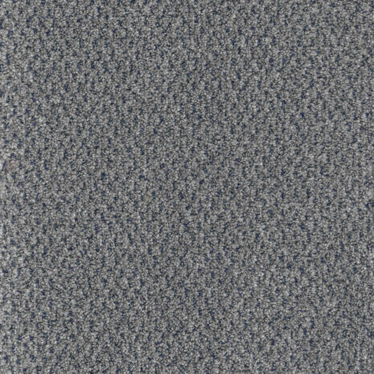 Trident Carpet