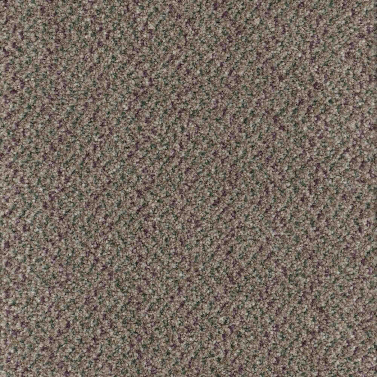 Trident Carpet