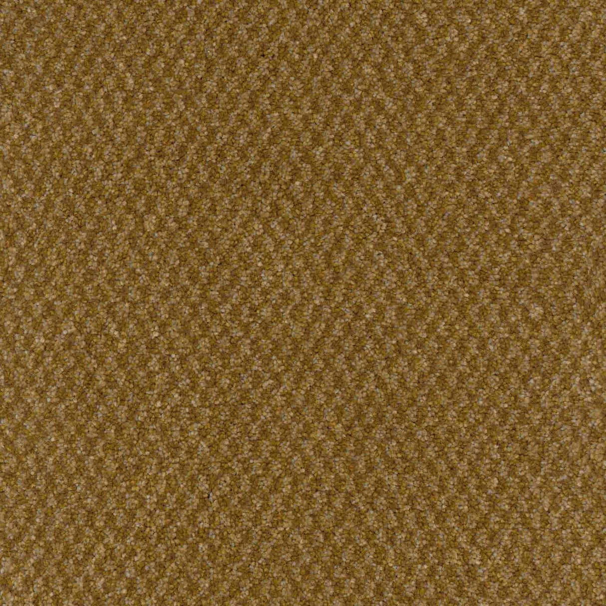 Trident Carpet