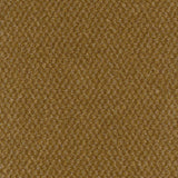 Trident Carpet