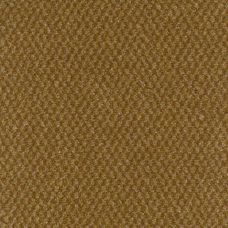 Trident Carpet