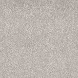 Veneto Carpet
