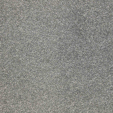 Veneto Carpet