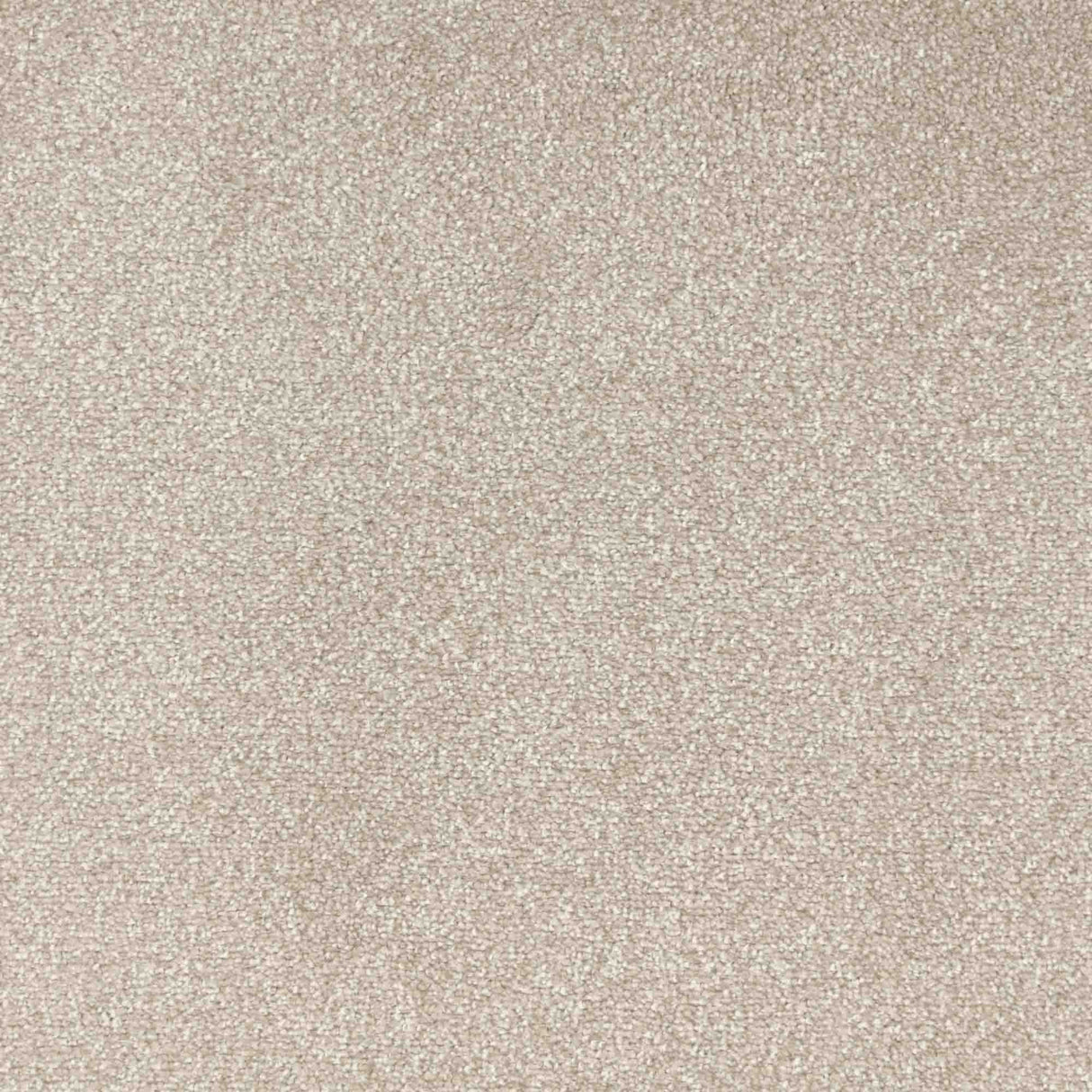 Veneto Carpet