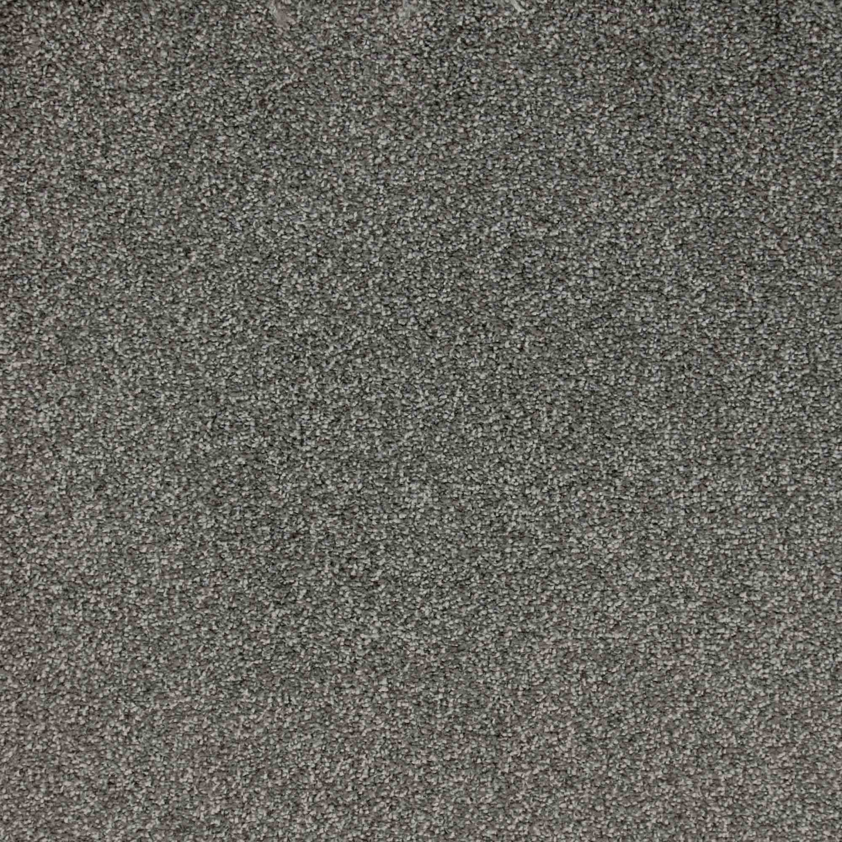 Veneto Carpet