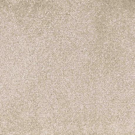 Veneto Carpet