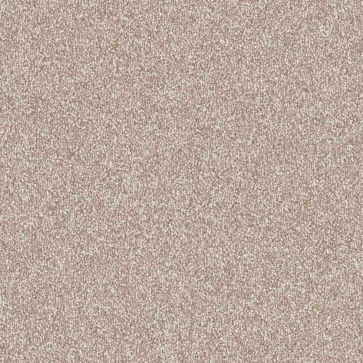 Veneto Carpet