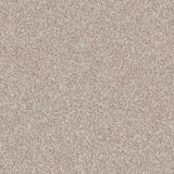 Veneto Carpet