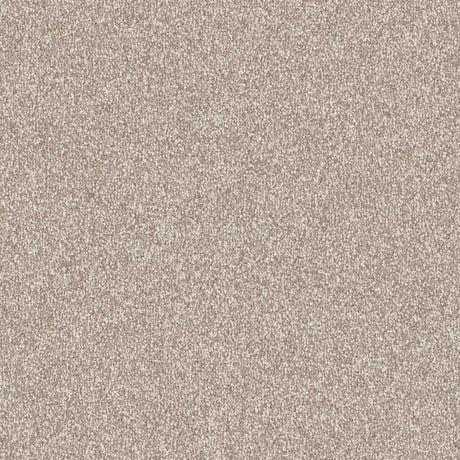 Veneto Carpet