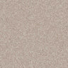 Veneto Carpet