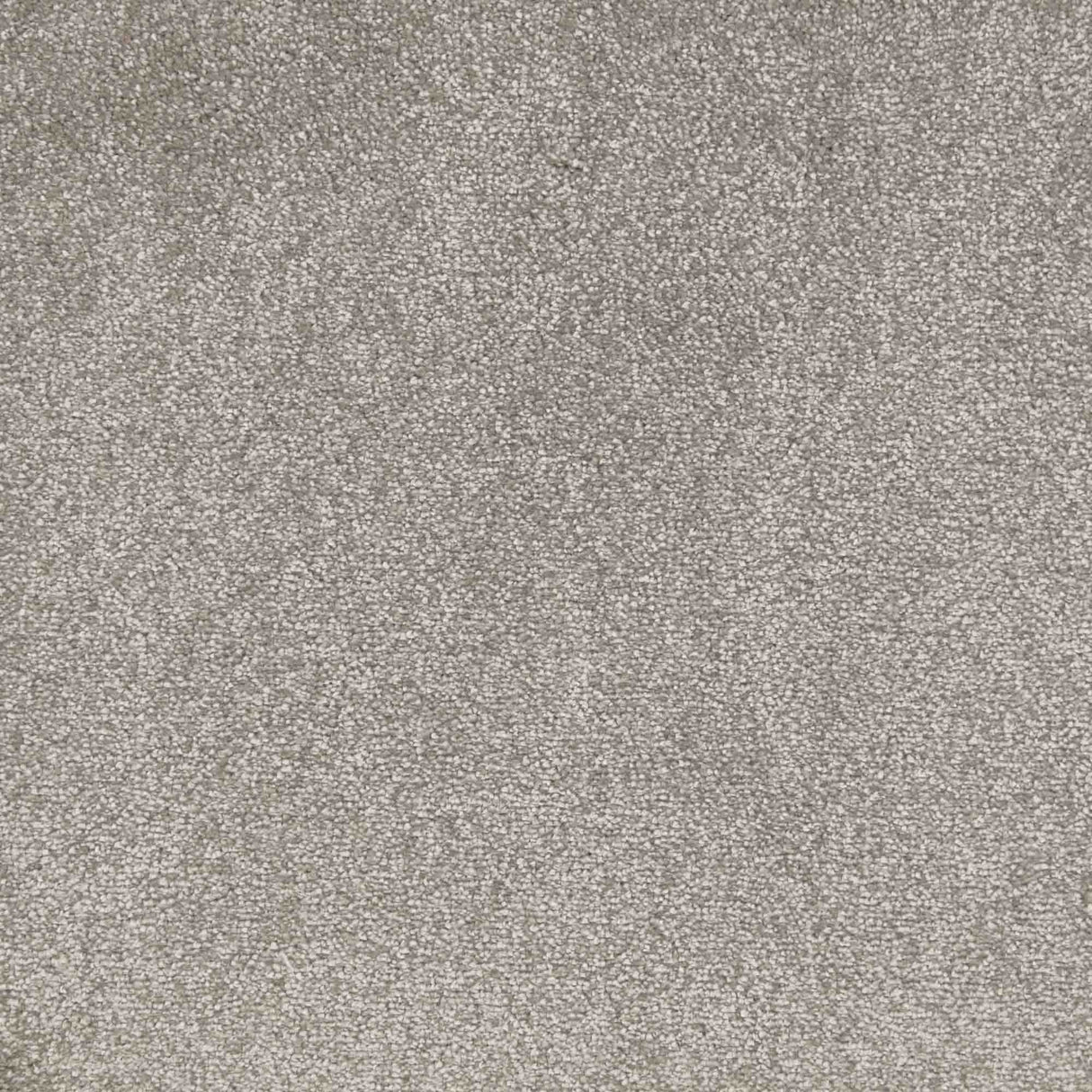 Veneto Carpet
