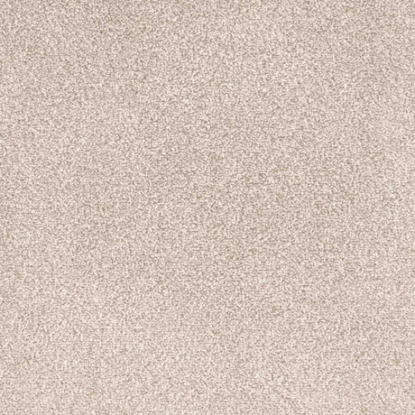 Veneto Carpet