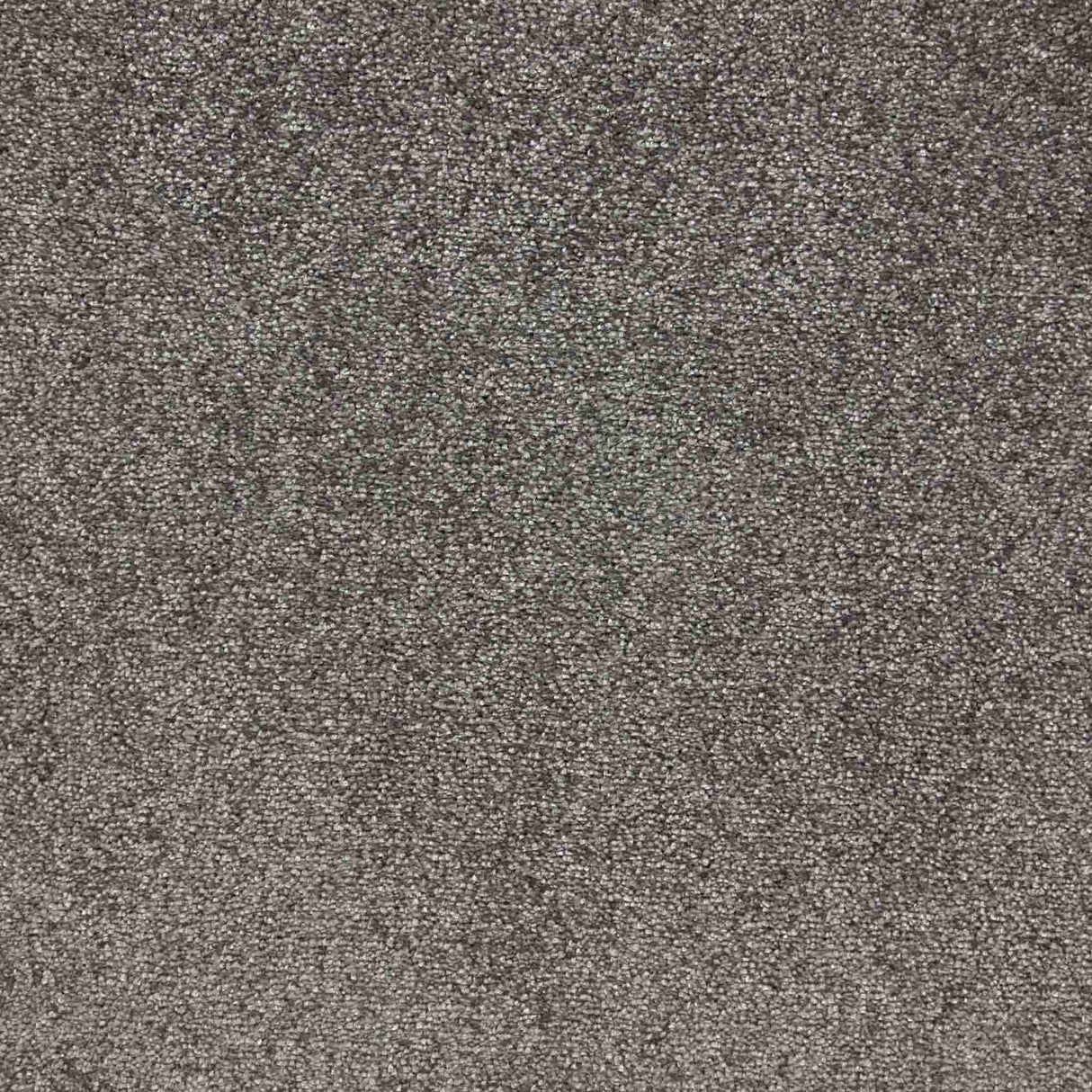 Veneto Carpet