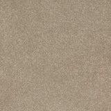 Trident Carpet