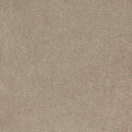 Trident Carpet