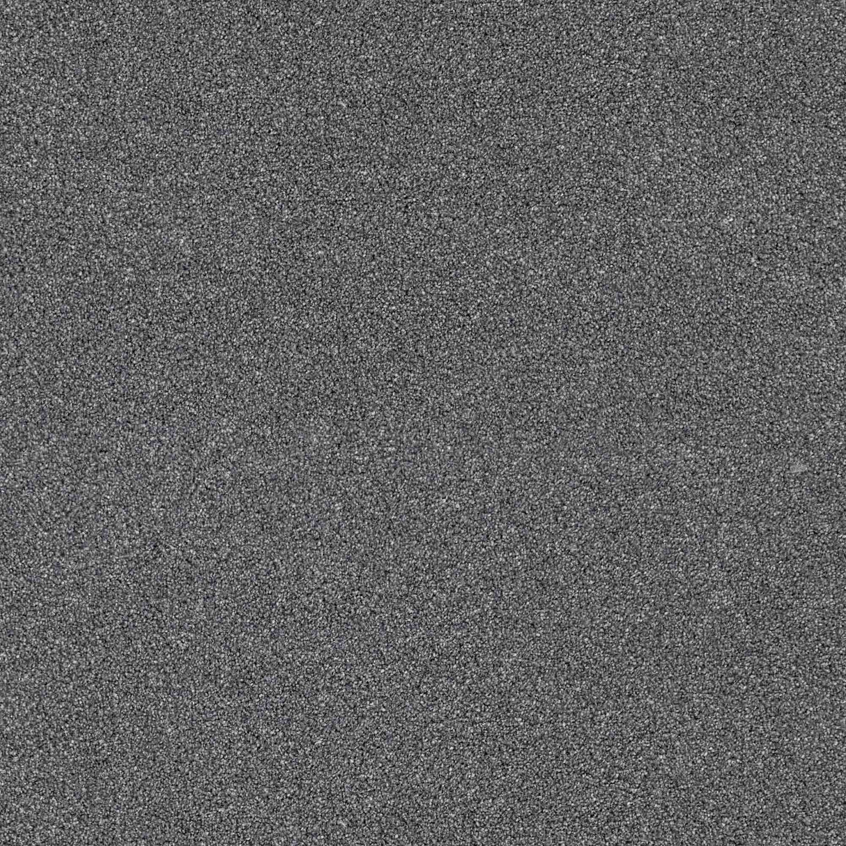 Trident Carpet