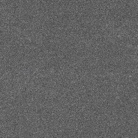 Trident Carpet