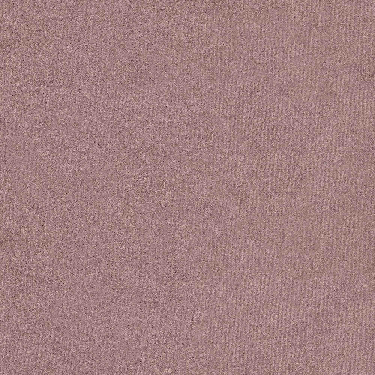 Trident Carpet