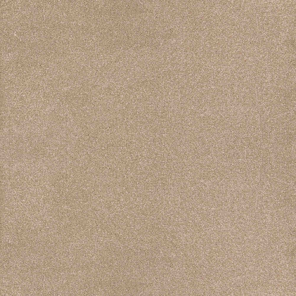 Trident Carpet