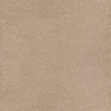Trident Carpet