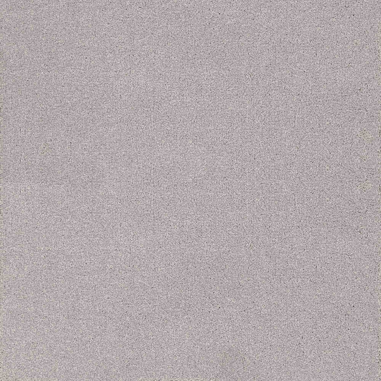 Trident Carpet